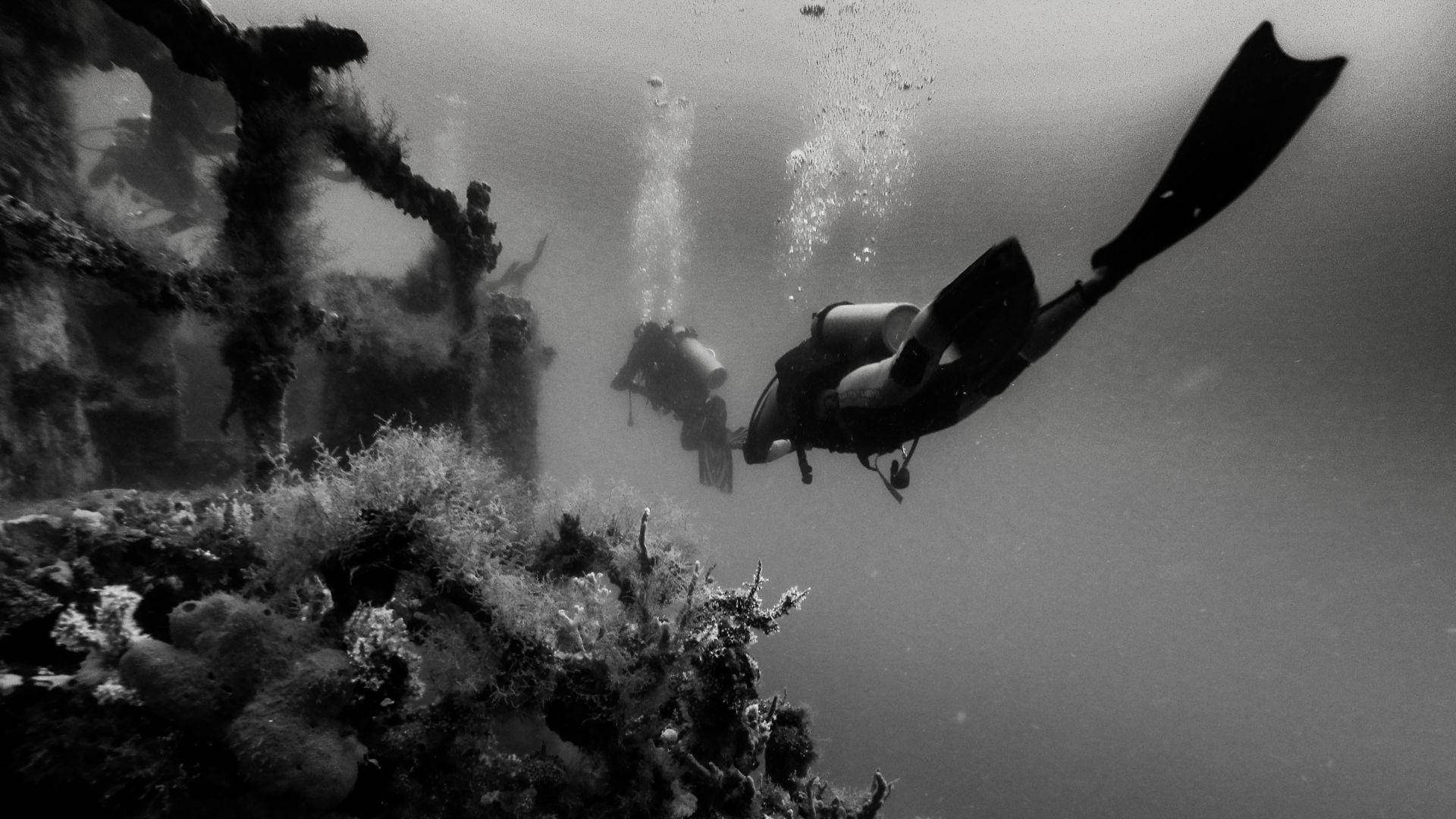 Documental — 11