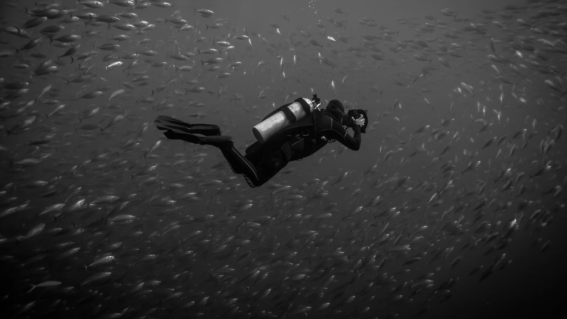 Documental — 13