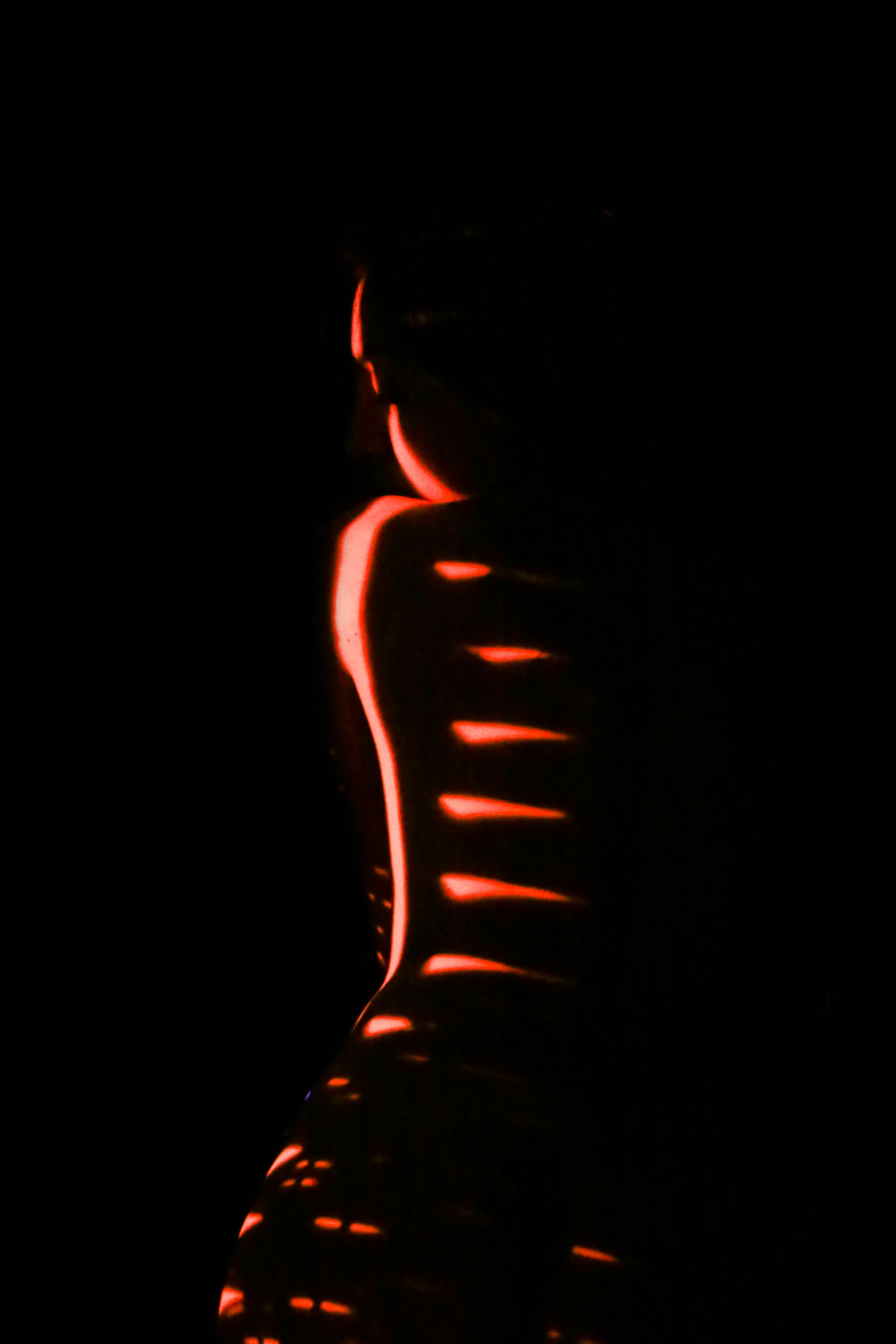 Fotografía Artística — 11